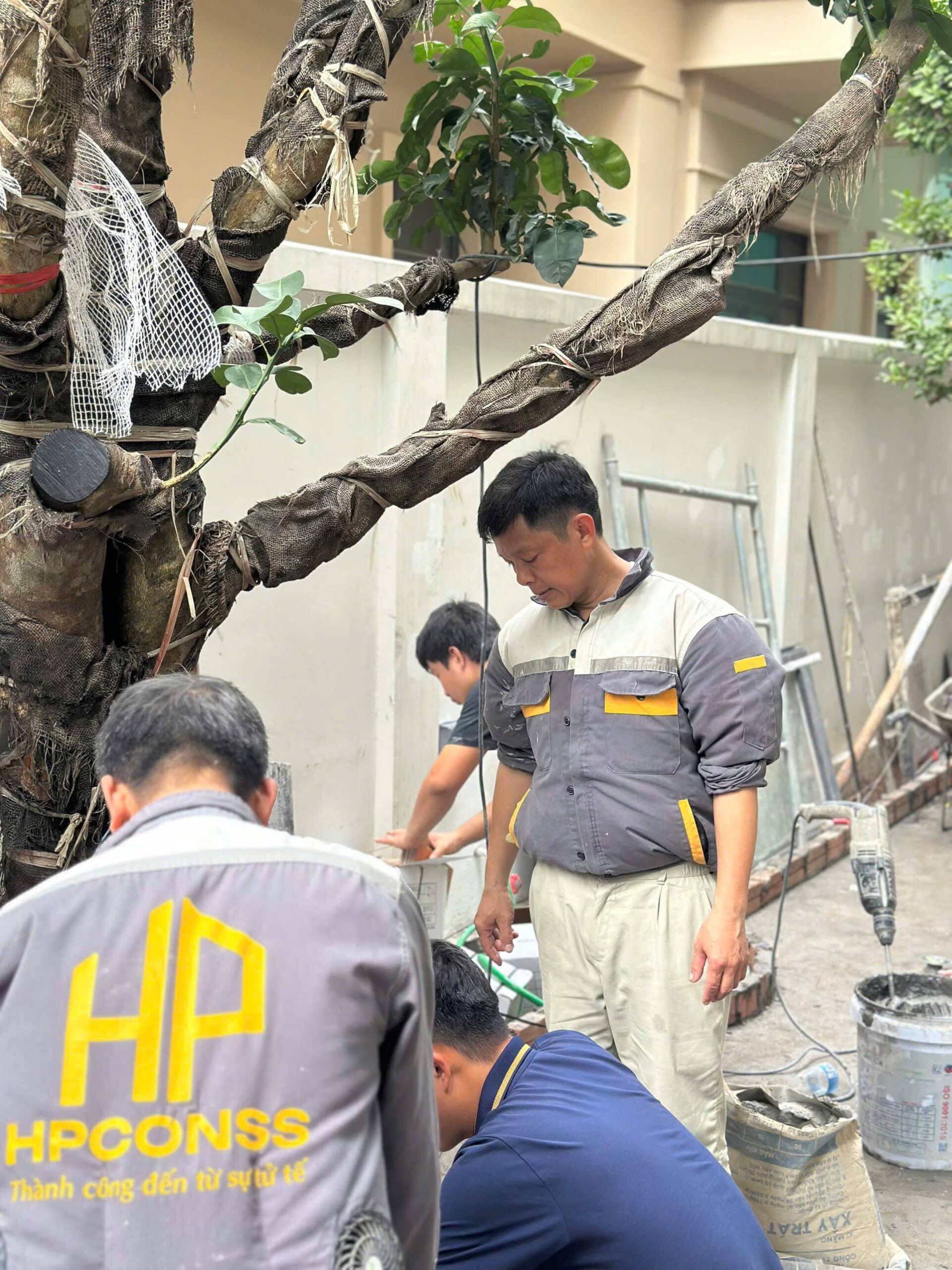 giai đoạn ốp lát HPconsS